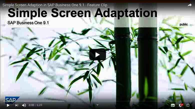 Einfache Bildschirmanpassung in SAP Business One 9.1