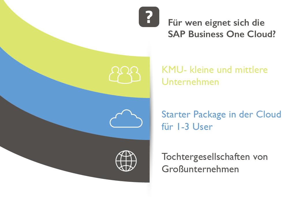 Einsatzgebiete SAP Business One Cloud