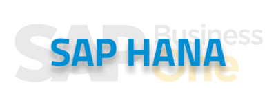 SAP Hana