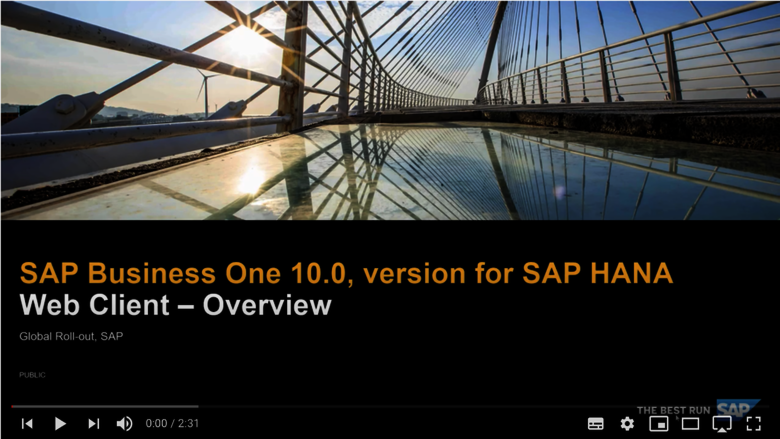 SBO Version 10.0 Webclient Overview